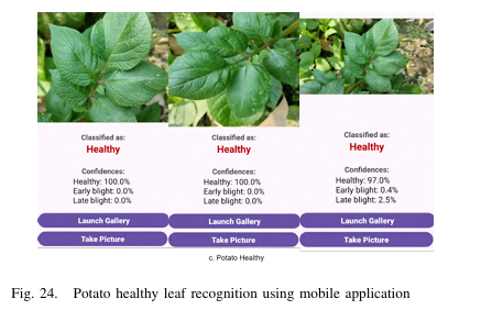 An Efficient Convolution Neural Network-based Novel Framework for Potato Leaf Diseases Classification and Identification